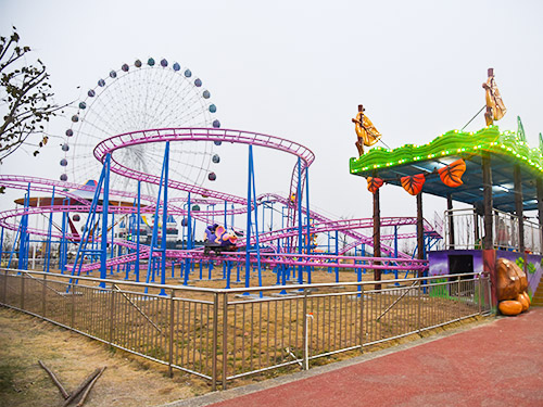 Amusement Park Roller Coaster