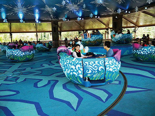 Spinning and Lifting Teacup Ride